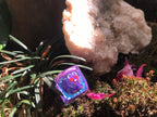 048 Venonat Pokemon, Pokemon Keycap, Pokemon Character Keycap, Artisan Keycap, Custom Pokemon Resin Keycap, Pokemon Resin Han