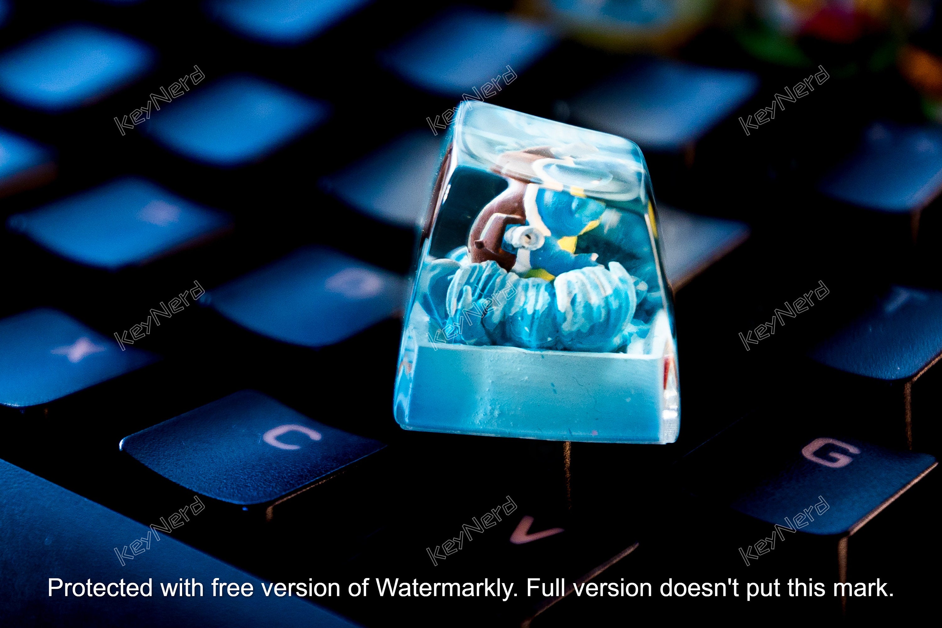 Sq.ui.rt.le, Wa.rt.ortle, Bla.stoi.se keycap, Custom p.oke.m.on keycap, handmade keycaps, Artisan keycap,, Mechanical Gaming