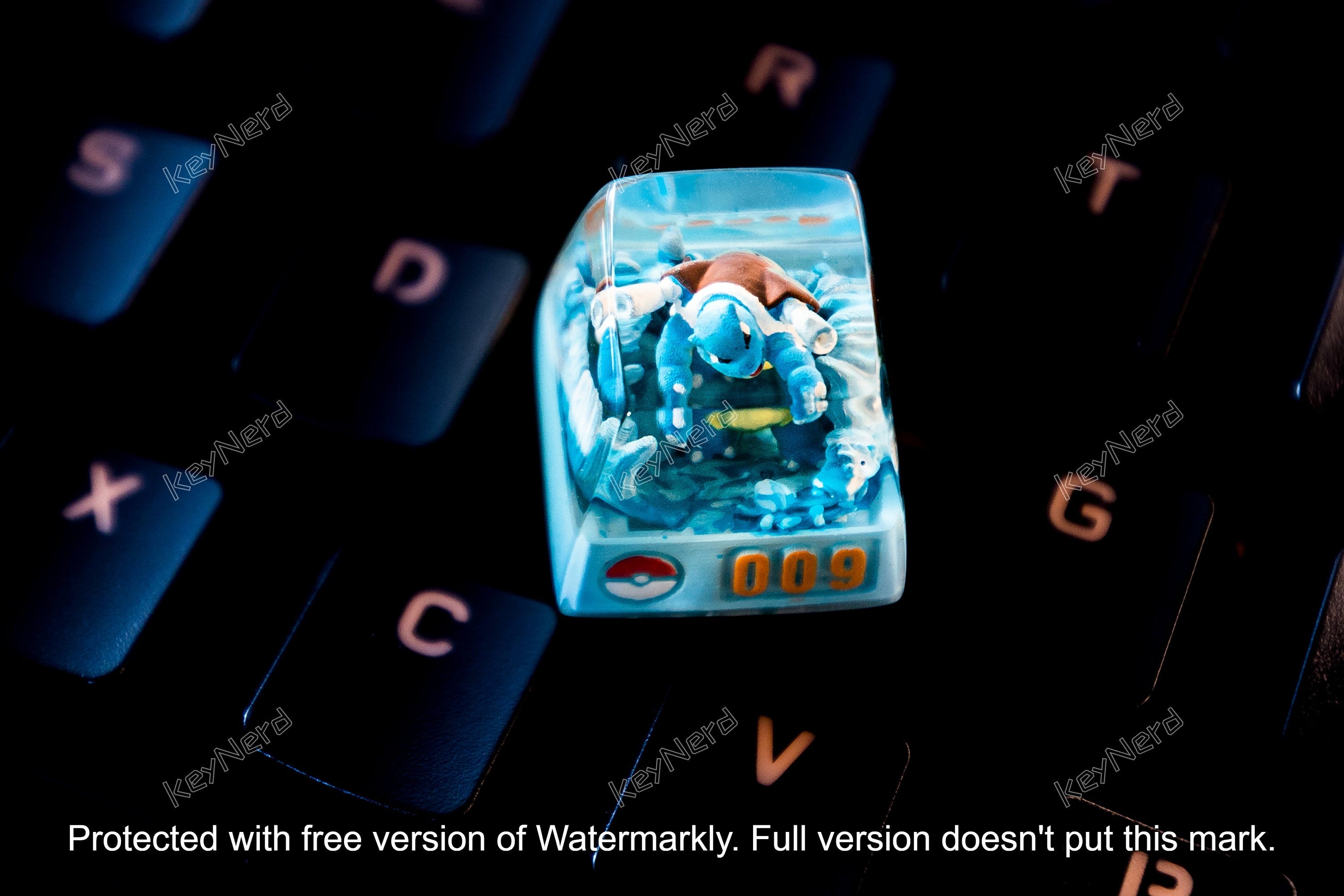 Sq.ui.rt.le, Wa.rt.ortle, Bla.stoi.se keycap, Custom p.oke.m.on keycap, handmade keycaps, Artisan keycap,, Mechanical Gaming