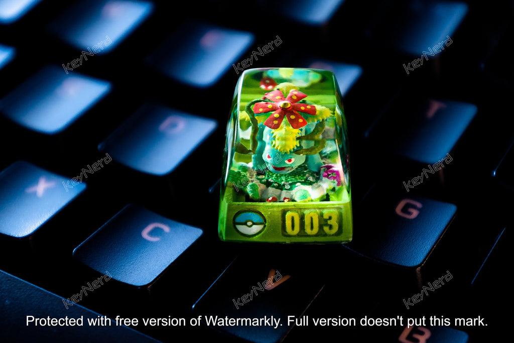 V.enu.saur keycap, Custom po.kemo.n keycap, handmade keycaps, Artisan keycaps, Cherry mx keycaps, Mechanical Gaming Keyboard,