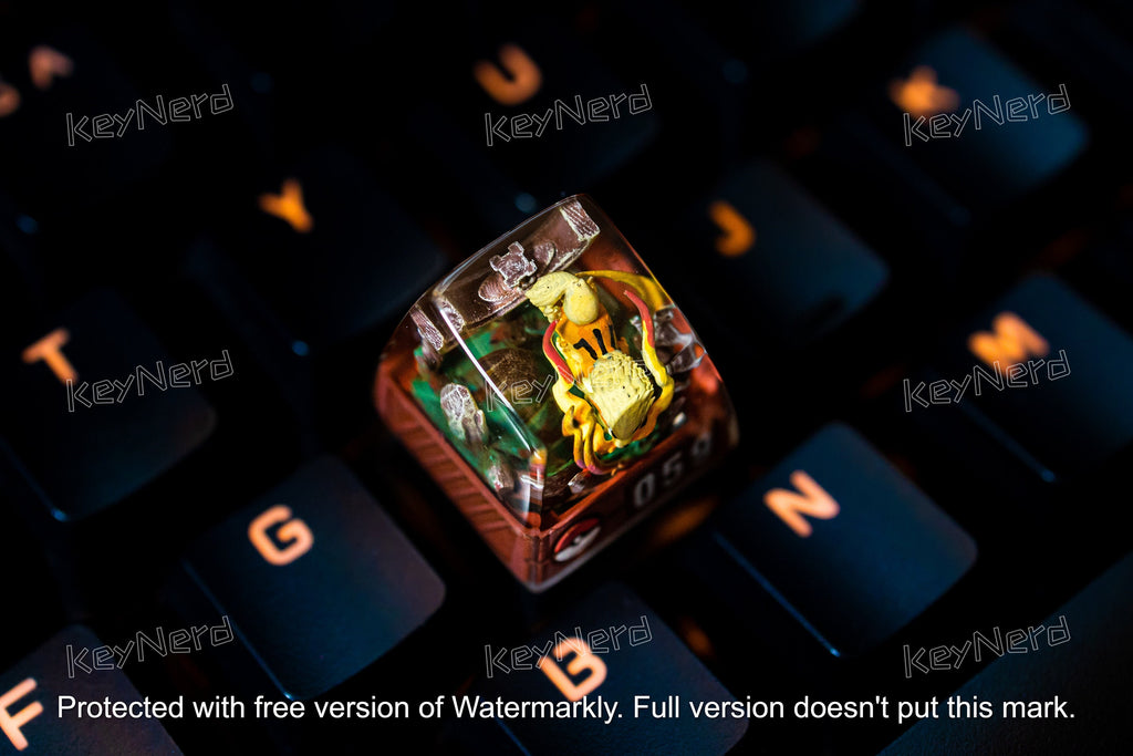 Arc.ani.ne keycap, Custom po.kem.on keycap, handmade keycaps, Artisan keycap, Cherry mx keycaps, Mechanical Gaming Keyboard,