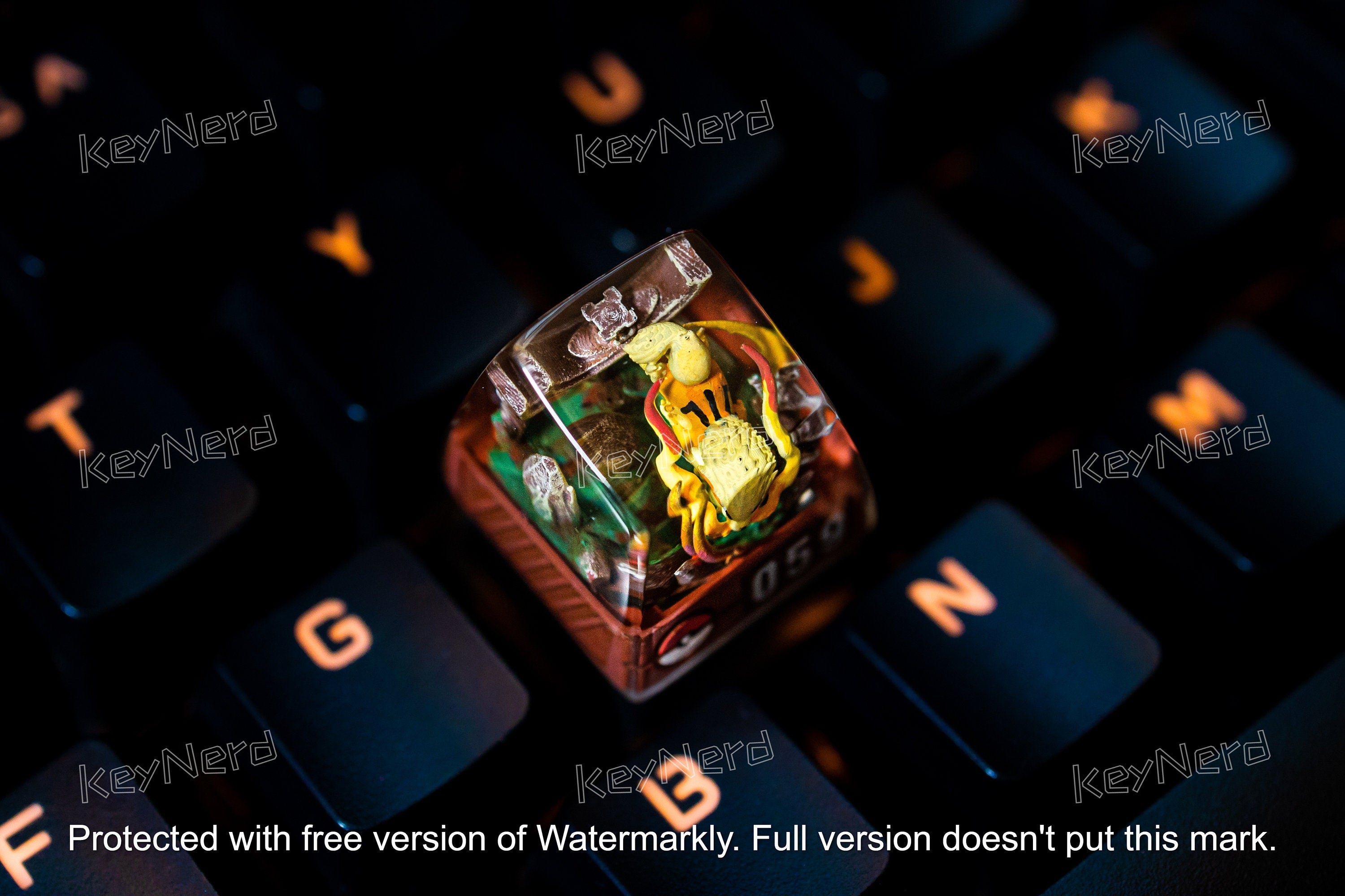 Arc.ani.ne keycap, Custom po.kem.on keycap, handmade keycaps, Artisan keycap, Cherry mx keycaps, Mechanical Gaming Keyboard,