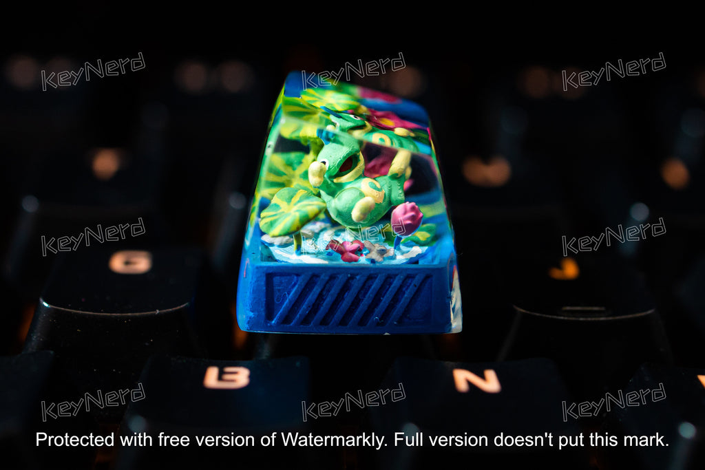 P.oli.to.ed keycap, Custom po.ke.mon keycap, handmade keycaps, Artisan keycap, Cherry mx keycaps, Mechanical Gaming Keyboard,