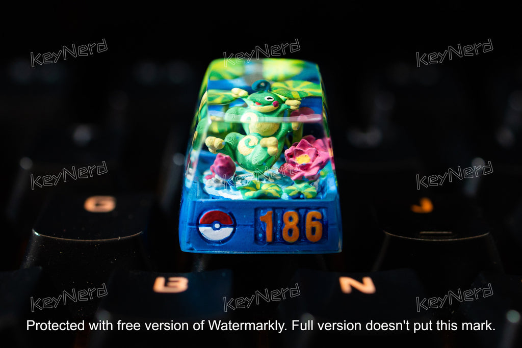 P.oli.to.ed keycap, Custom po.ke.mon keycap, handmade keycaps, Artisan keycap, Cherry mx keycaps, Mechanical Gaming Keyboard,