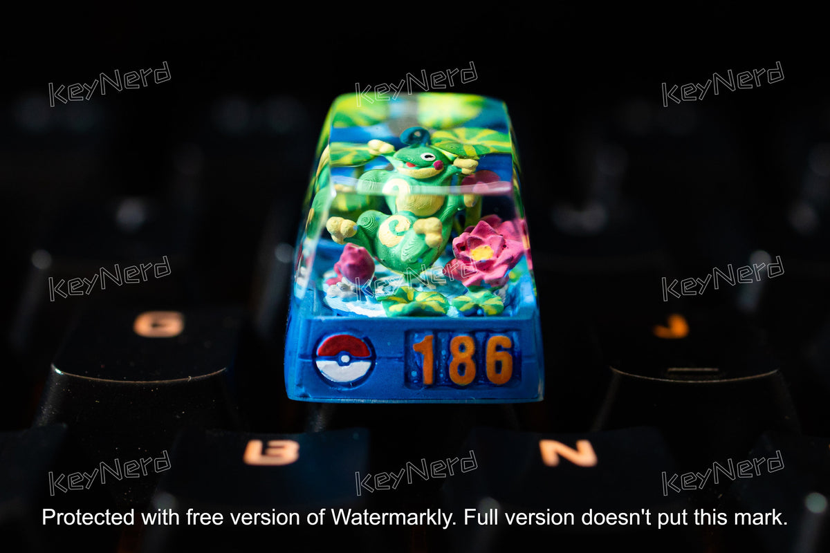 P.oli.to.ed keycap, Custom po.ke.mon keycap, handmade keycaps, Artisan keycap, Cherry mx keycaps, Mechanical Gaming Keyboard,