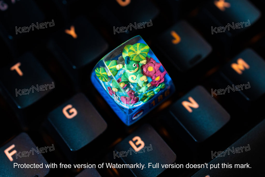 P.oli.to.ed keycap, Custom po.ke.mon keycap, handmade keycaps, Artisan keycap, Cherry mx keycaps, Mechanical Gaming Keyboard,