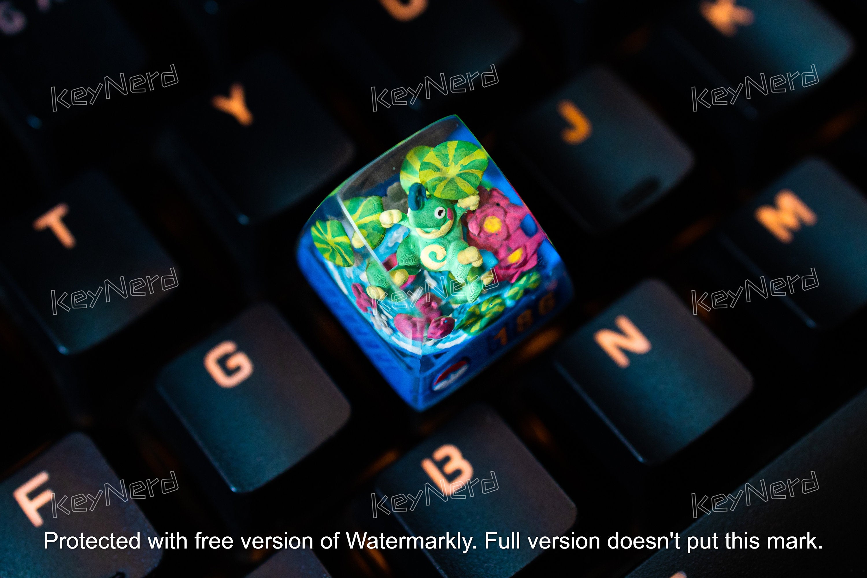 P.oli.to.ed keycap, Custom po.ke.mon keycap, handmade keycaps, Artisan keycap, Cherry mx keycaps, Mechanical Gaming Keyboard,