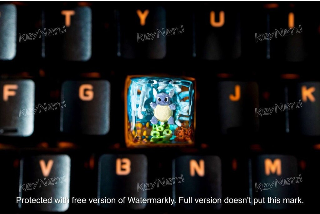 Sq.ui.rt.le, Wa.rt.ortle, Bla.stoi.se keycap, Custom p.oke.m.on keycap, handmade keycaps, Artisan keycap,, Mechanical Gaming