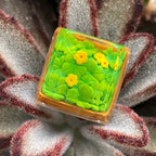 Handmade Plant keycap,Four-leaf clover resin keycap,Flowers keycap