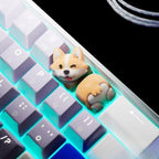 Adorable Shiba Keycaps - A Touch of Whimsy for Your Keyboard, cute shiba keycaps