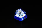 Em.po.leon keycap, Custom pok.em.on keycap, handmade keycaps, Artisan keycap, Cherry mx keycaps, Mechanical Gaming Keyboard,