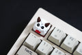 P0-r0 keycap, pro gamer keycap Artisan keycap, Custom keycap,Anime artisan Keycaps, Custom Keycap, Keycap gifts, 3d hiko key,