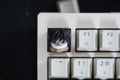 Titans keycap, ANIME keycap, Custom keycapfor Art Deco, Keycap Resin for Personalized Gift , Personalized keycap Gift Supplie