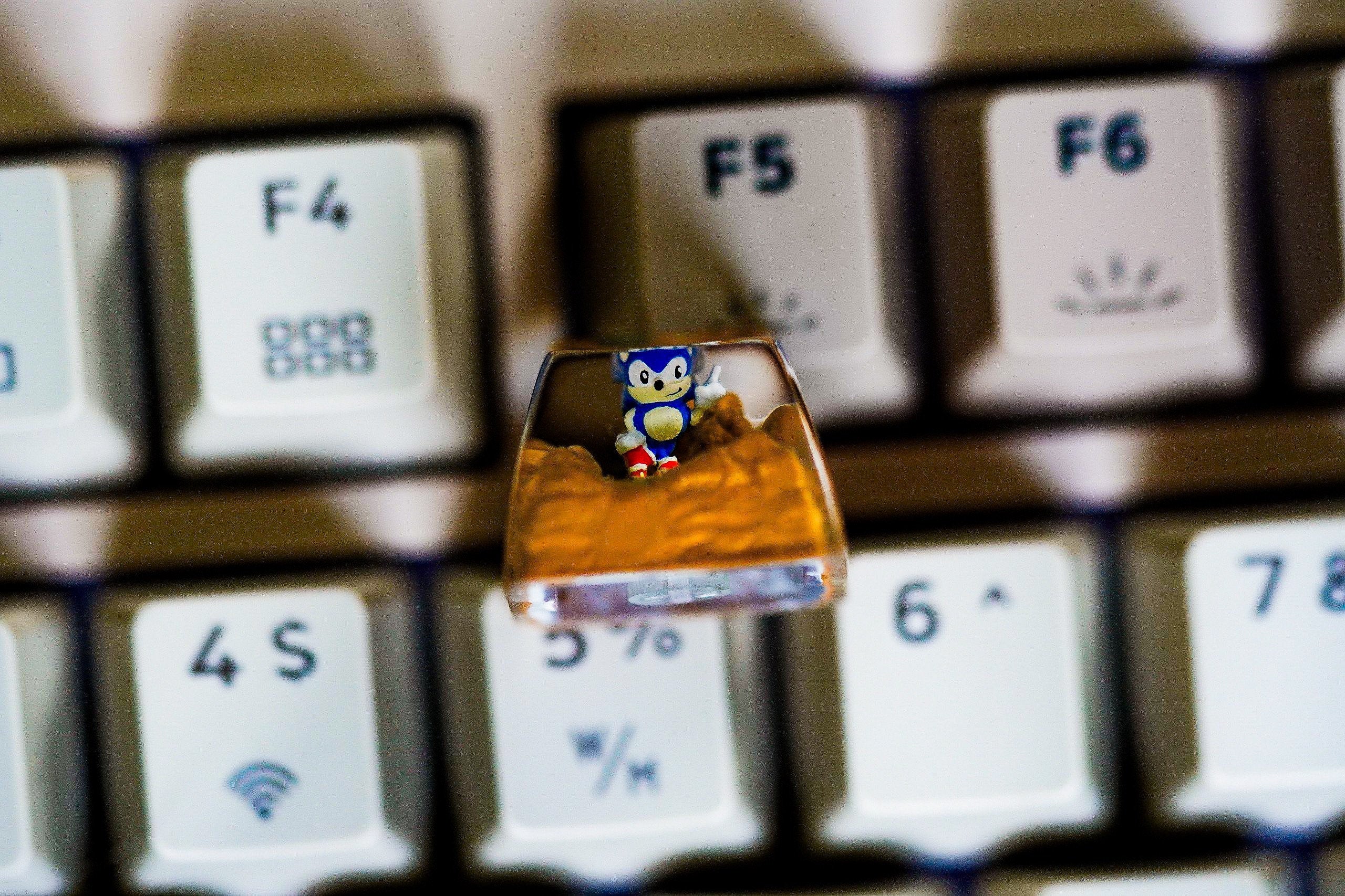 handmade Hedgehog artisan keycap, resin keycap,custom anime keycaps,Shadow Custom keycaps for cherry Mx keyboard,Birthday Gif