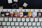 Titans keycap, ANIME keycap, Custom keycapfor Art Deco, Keycap Resin for Personalized Gift , Personalized keycap Gift Supplie