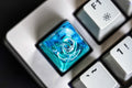 Haku Dragon SA Keycaps, DRAGON resin, EPOXY Resin Molds, Cherry mx Keycaps,Cute Handmade Gaming Running Up to Hill Qawaii Coo