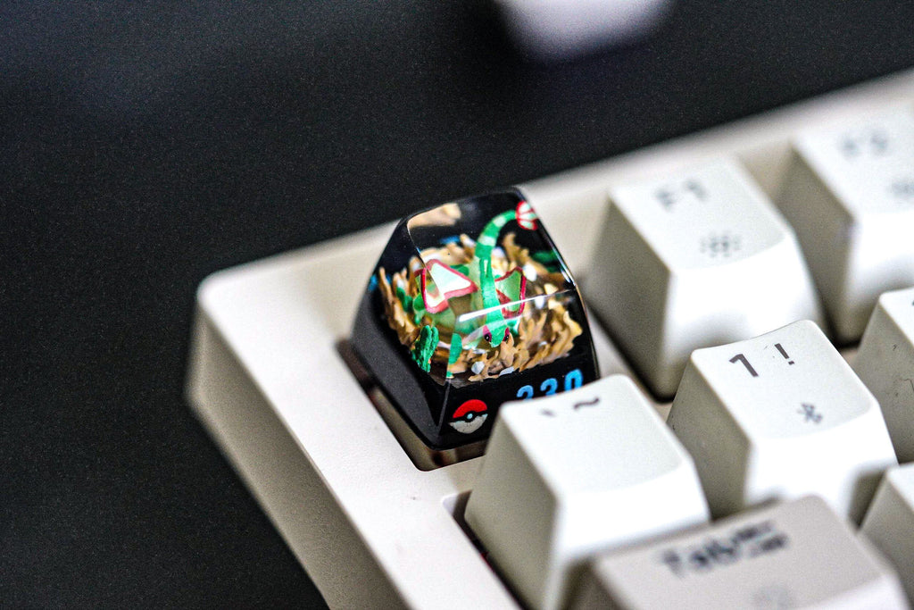 fly.g.on po.ke.mo.n keycap, po.ke.mo.n spacebar keycap, artisan keycap, valentine gift, po.ke.m.on keycap set, resin artisan