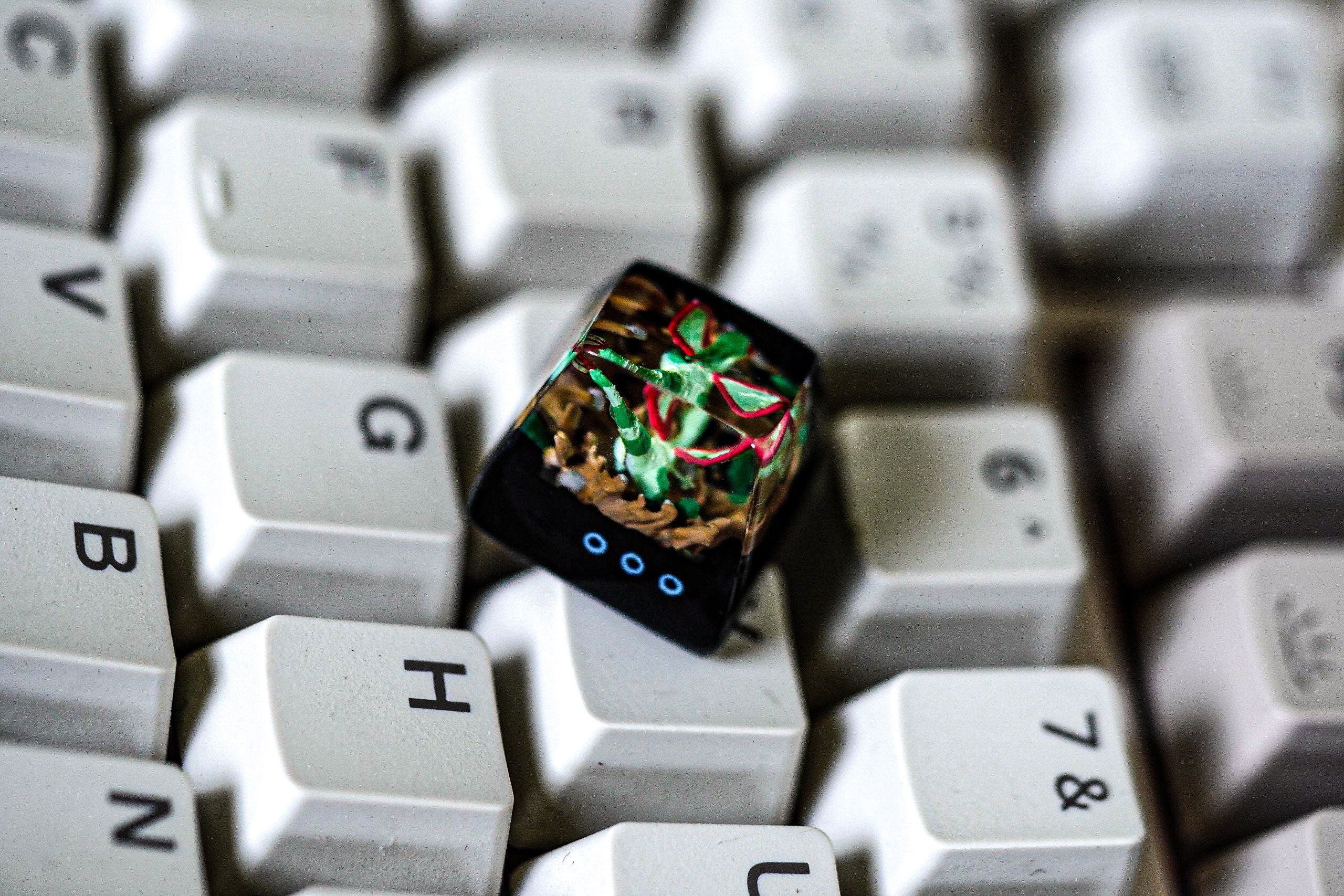 fly.g.on po.ke.mo.n keycap, po.ke.mo.n spacebar keycap, artisan keycap, valentine gift, po.ke.m.on keycap set, resin artisan