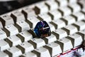 G.re.ni.nja keycap, Custom po.ke.mon keycap, Keycap, Keycaps, Artisan keycap, Cherry mx keycaps, Mechanical Gaming Keyboard,