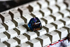 G.re.ni.nja keycap, Custom po.ke.mon keycap, Keycap, Keycaps, Artisan keycap, Cherry mx keycaps, Mechanical Gaming Keyboard,