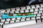 Sea spacebar 6.25U, custom spacebar keycap, coral keycap, nature keycap, Alice Fantasy Forest Keycaps, Green Forest Keycaps O