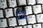lugia pokemon keycap, pokemon spacebar keycap, artisan keycap, valentine gift, pokemon keycap set, resin artisan keycap