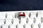 C.ha.insaw Dog keycap, Po.ch.ita keycap, D.e.n.ji keycap, Valentine gift, Gift for him, Artisan keycap, Anime keycap, cute ke