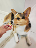 Custom Pet Figurine | Personalized Chibi Pet Statue | Handmade 3D Pet Figure from Photo | Dog & Cat Gift